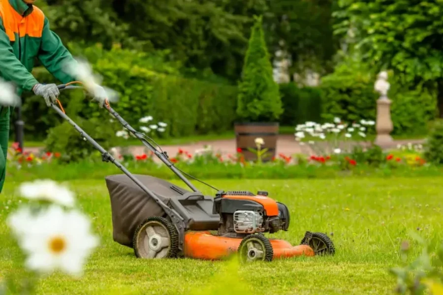 Expert Lawn Maintenance Services Hemet CA Expert Lawn Maintenance Services Hemet CA