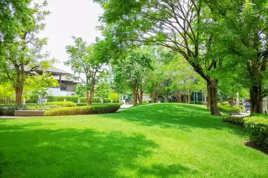 How Lawn Maintenance Services Improve Curb Appeal Hemet CA