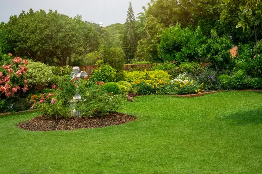 Importance Of Regular Lawn Maintenance For A Healthier Yard in Hemet CA