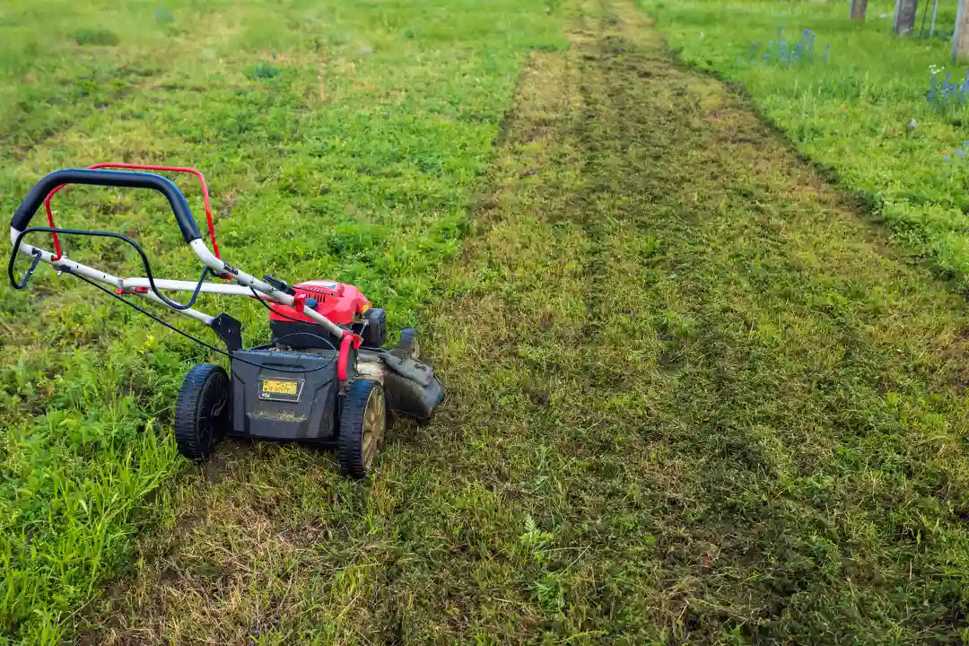 Local Lawn Maintenance Services Hemet CA Local Lawn Maintenance Services Hemet CA