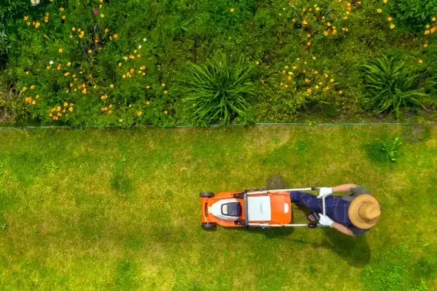 Reputable Lawn Maintenance Services Hemet CA Reputable Lawn Maintenance Services Hemet CA